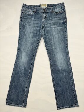 American Tag Cie Premium Skinny Jeans Blue Gray Wash Women’s 15R